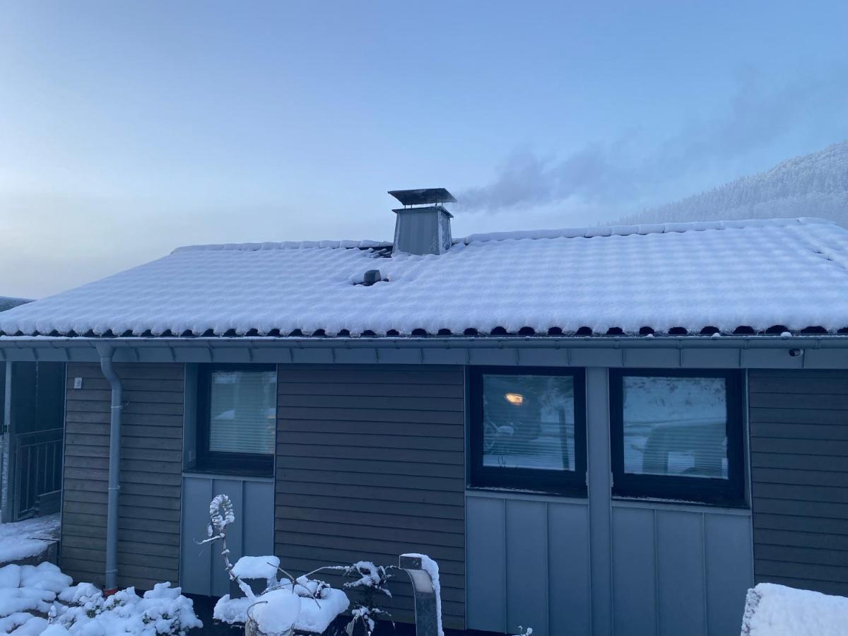 Appartement Hochheide